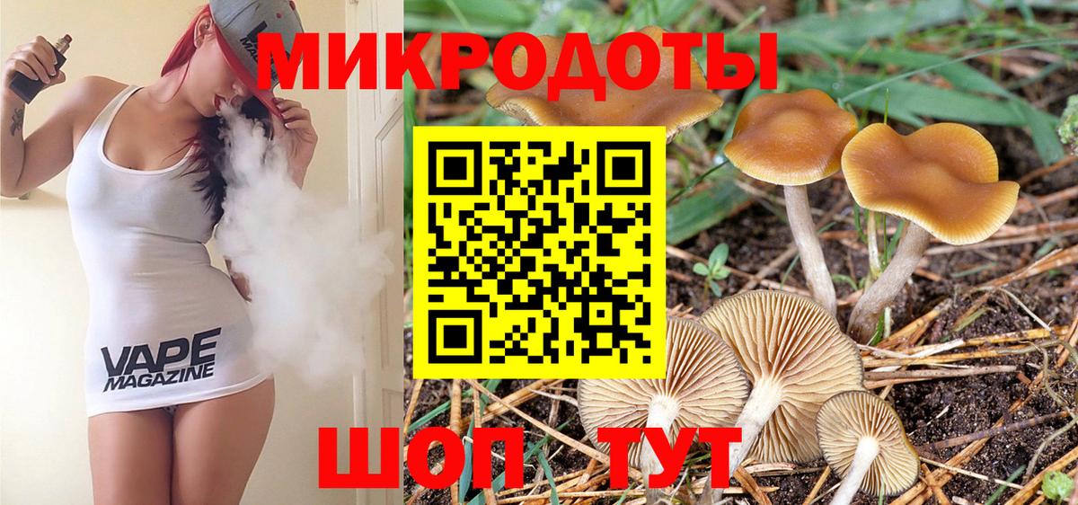 Галлюциногенные грибы Psilocybine cubensis Бузулук