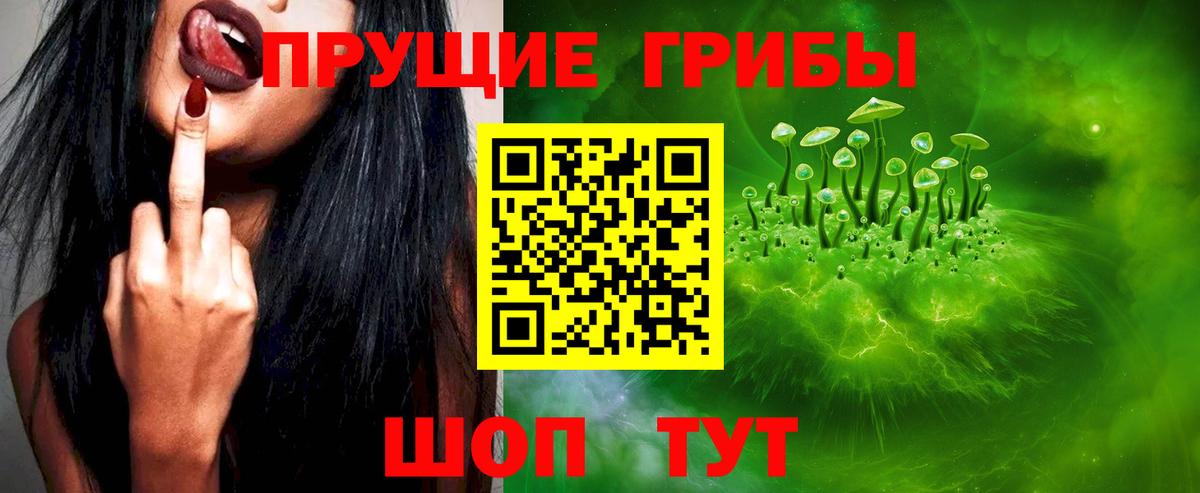 Бузулук  Галлюциногенные грибы мицелий  Вход с VPN  Галлюциногенные грибы Psilocybine cubensis 
